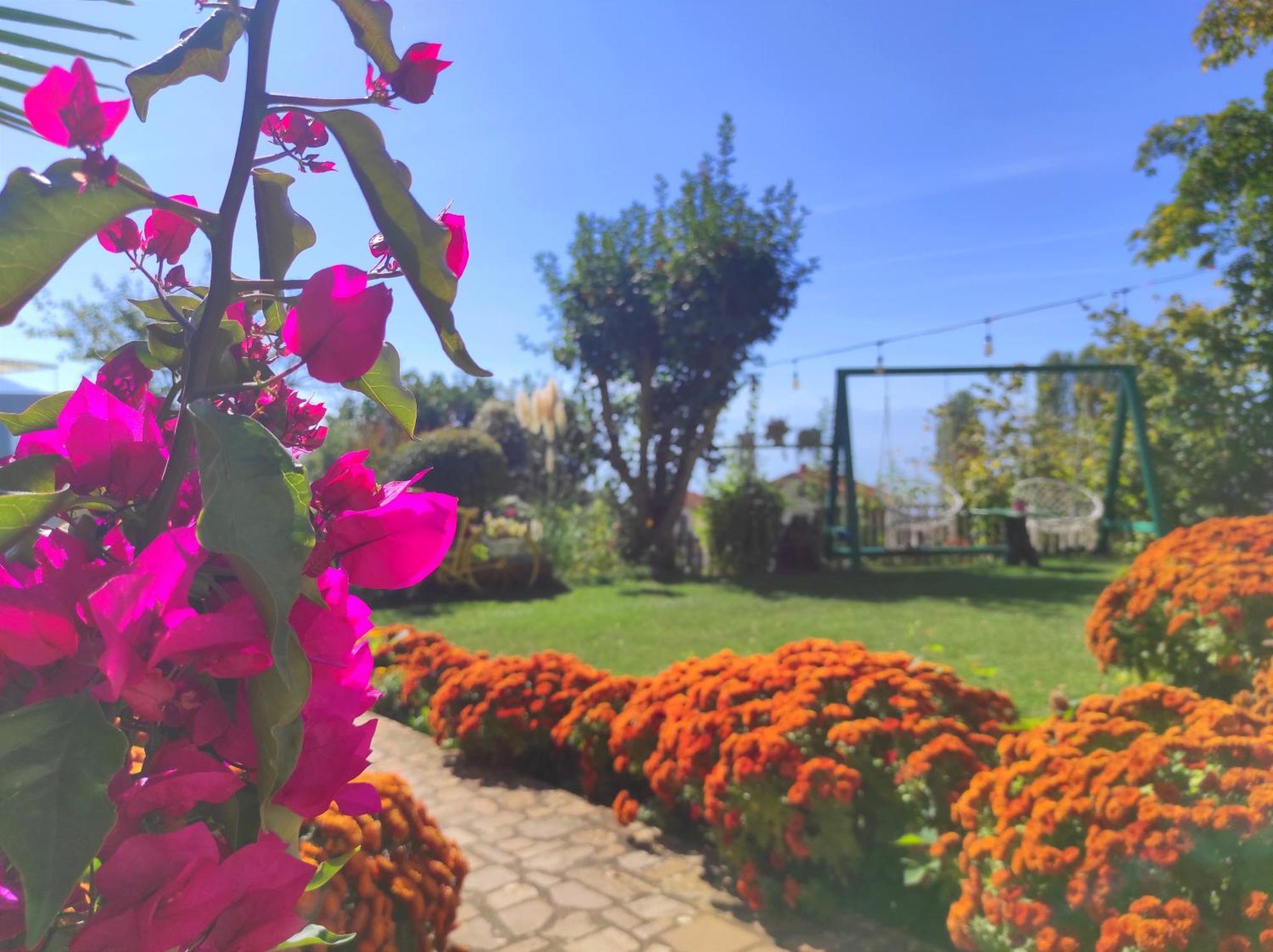 Villa Forest Paradise Ohrid Exterior photo