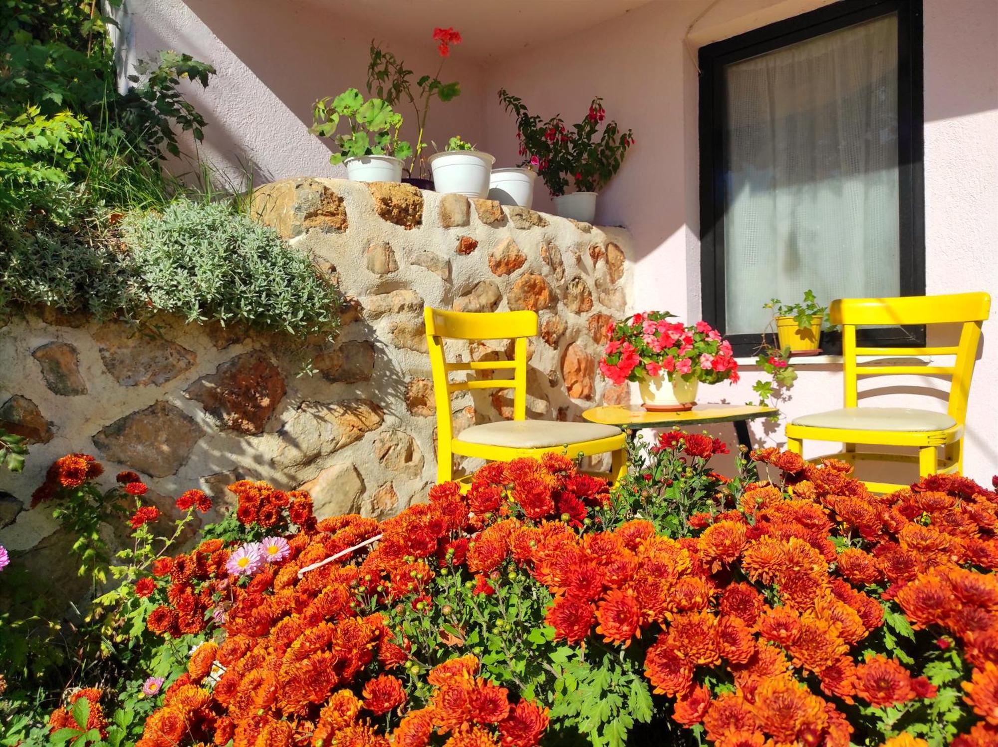 Villa Forest Paradise Ohrid Exterior photo
