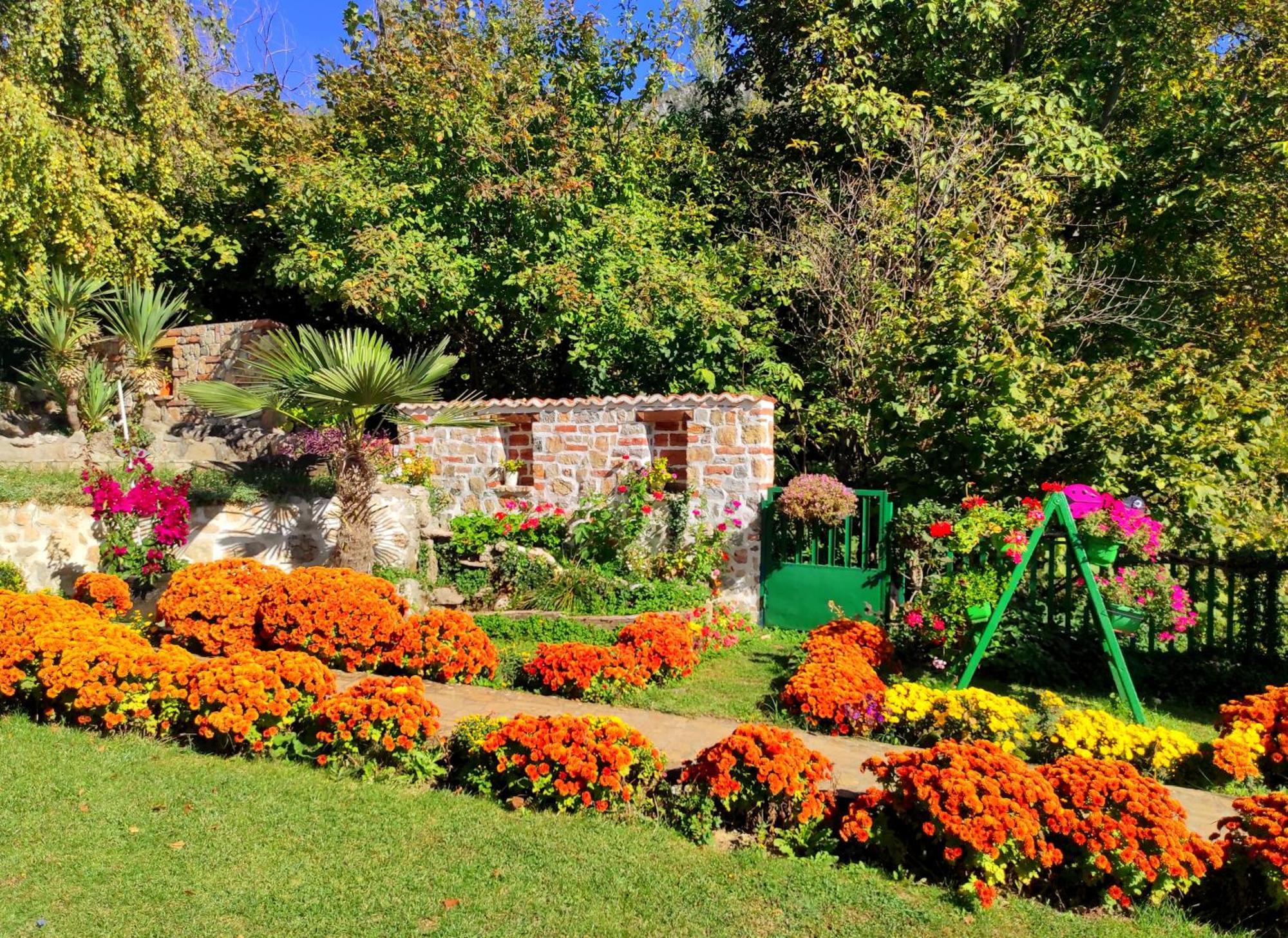 Villa Forest Paradise Ohrid Exterior photo